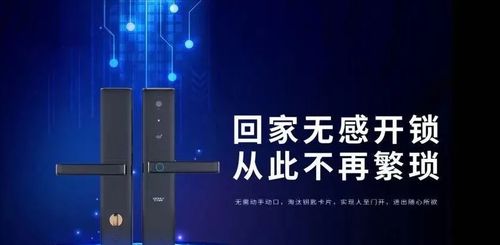 王力安防（605268）未來五年投資價(jià)值深度分析