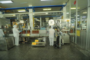 科技與誠信 驅動魯花騰飛的雙翼