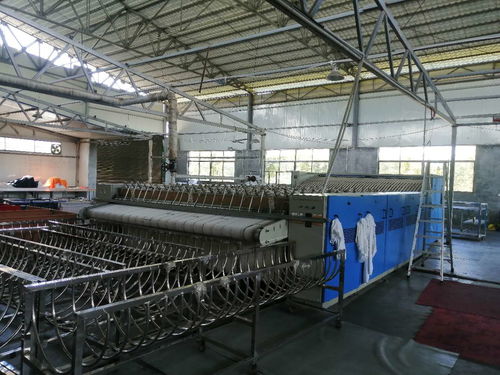 洗滌廠轉(zhuǎn)讓與技術(shù)轉(zhuǎn)讓 全面指南與注意事項(xiàng)