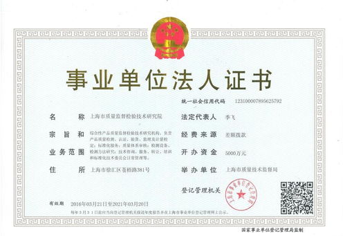 營(yíng)業(yè)執(zhí)照中的技術(shù)開(kāi)發(fā) 入門(mén)指南與核心考量