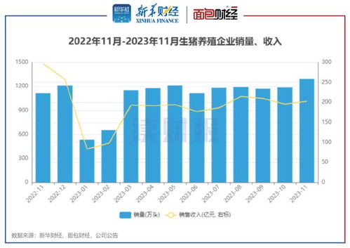 生豬養(yǎng)殖與醫(yī)藥零售雙線觀察 上市豬企11月銷量同比增16%，天邦食品領(lǐng)漲